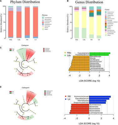 Microbial Composition in the Duodenum and Ileum of Yellow Broilers With High and Low Feed Efficiency